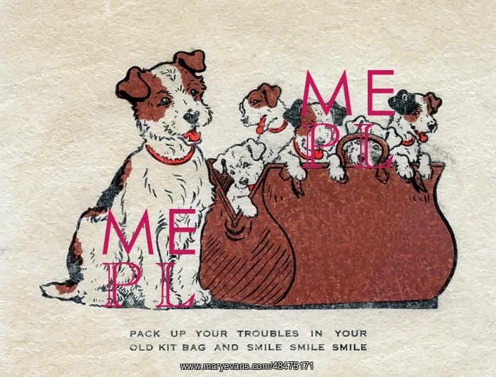 : Pack Up Your Troubles - Dog and Puppies : Pack Up Your Troubles - Dog and Puppies