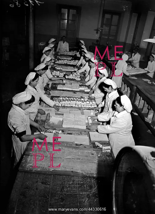 : Italy. Packaging of cheese at the Polenghi factory : Italy. Packaging of cheese at the Polenghi factory