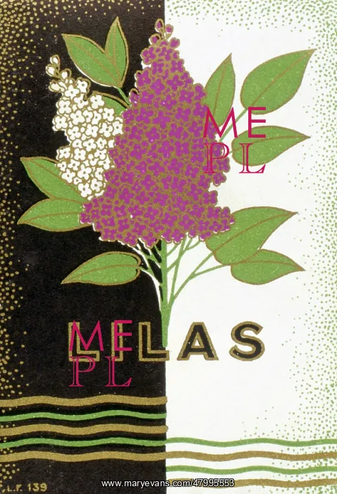 : Packaging design for Lilas perfume : Packaging design for Lilas perfume