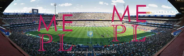 : A packed Loftus Versfeld stadium to watch the : A packed Loftus Versfeld stadium to watch the