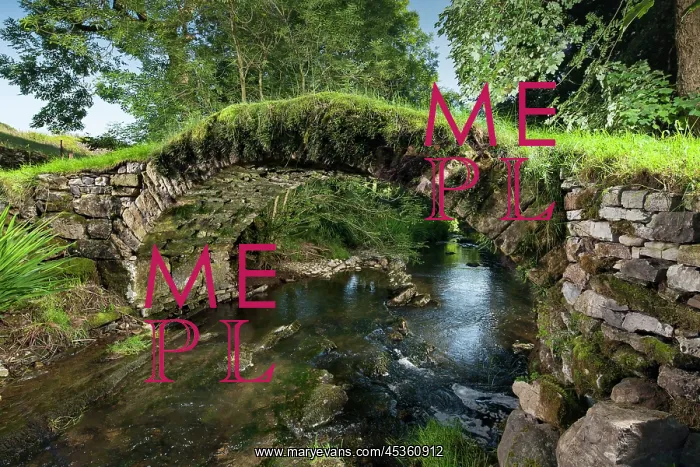 : Packhorse Bridge DP : Packhorse Bridge DP