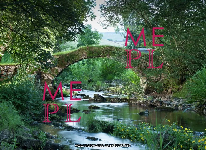: Packhorse Bridge DP : Packhorse Bridge DP