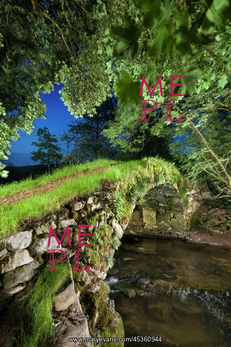 : Packhorse Bridge DP : Packhorse Bridge DP