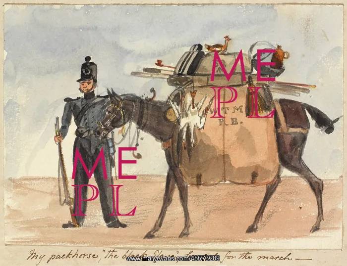 : My packhorse, ?the black slave?, loaded for the march : My packhorse, ?the black slave?, loaded for the march