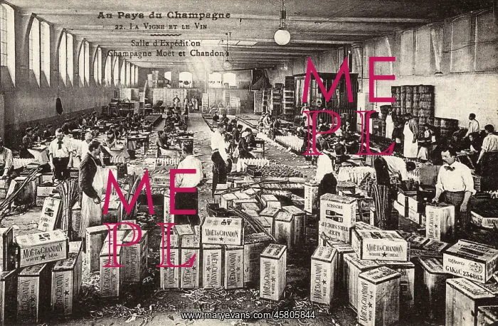 : PACKING MOET BOTTLES : PACKING MOET BOTTLES