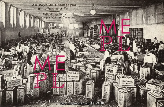 : PACKING MOET BOTTLES : PACKING MOET BOTTLES