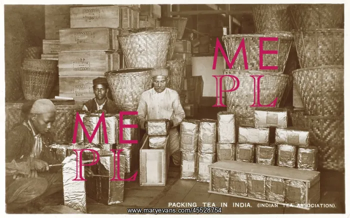  : Packing Tea in India - Indian Tea Association