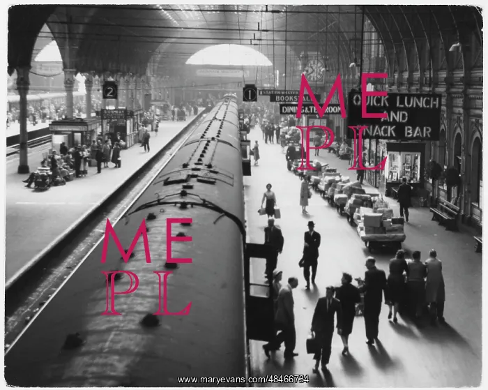 : PADDINGTON PASSENGERS : PADDINGTON PASSENGERS