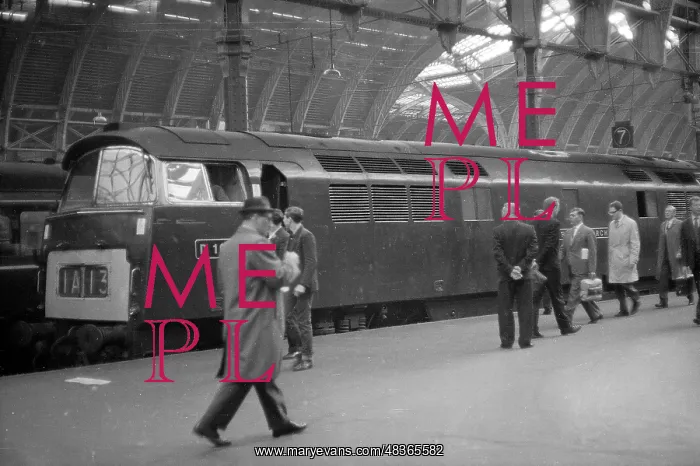 : Paddington Station : Paddington Station