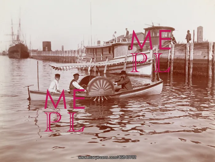 : Paddle boat : Paddle boat