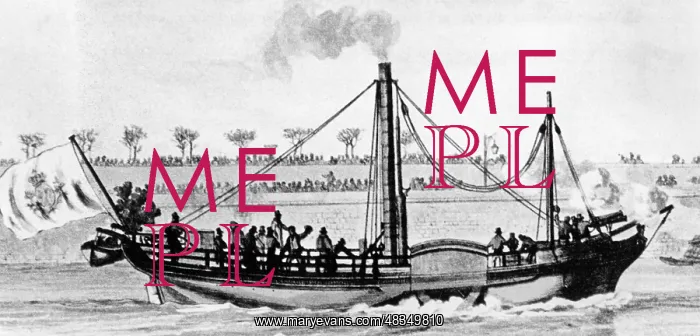 : The paddle steamer Elise, 1816 : The paddle steamer Elise, 1816