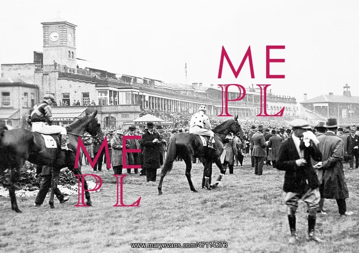  : The Paddock Doncaster Race Course possibly 1920s