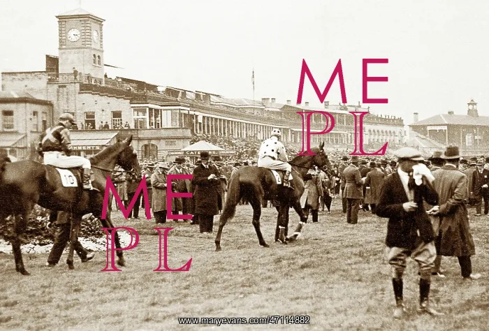  : The Paddock Doncaster Race Course possibly 1920s