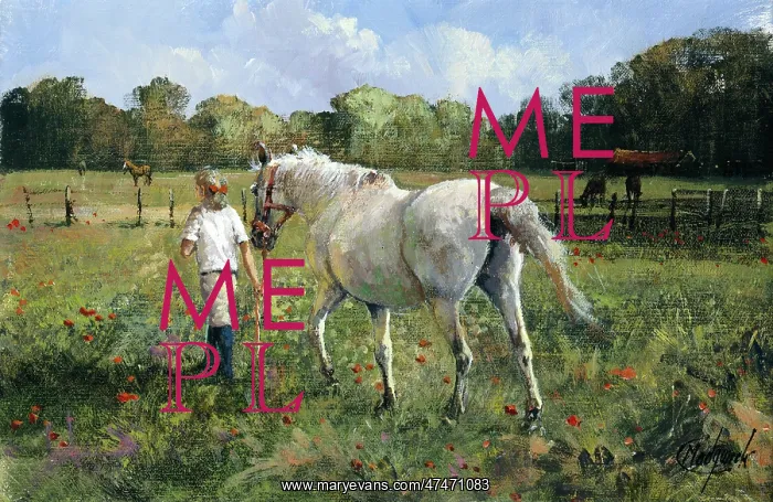  : Into the Paddock – girl with a white horse