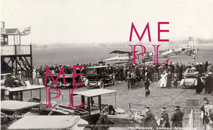 : The Paddock at Hendon : The Paddock at Hendon
