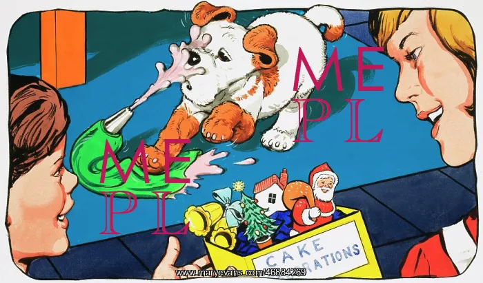  : Paddy Paws