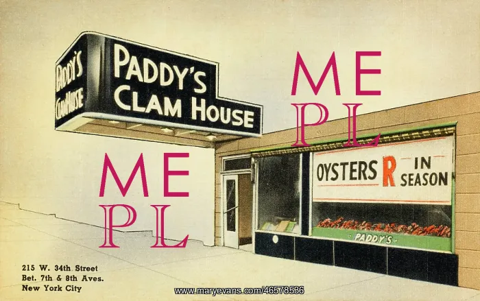 : Paddy's Clam House : Paddy's Clam House