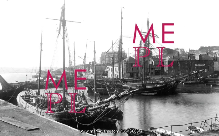  : Padstow, Harbour 1901