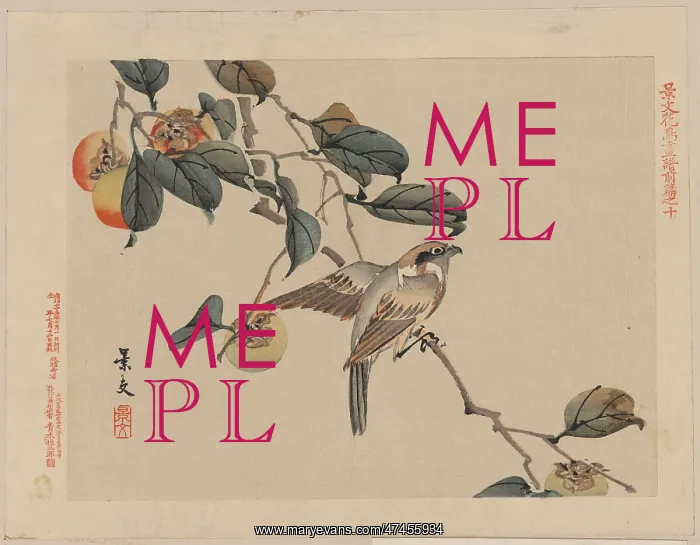 : Page ten. Print shows a bird perched on a branch in persimmon tree. Date 1892 : Page ten. Print shows a bird perched on a branch in persimmon tree. Date 1892