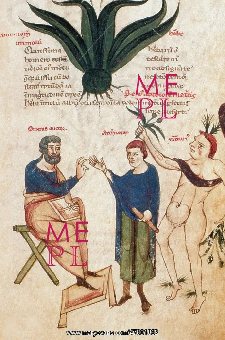 : Page from Celsus's De Medicina : Page from Celsus's De Medicina