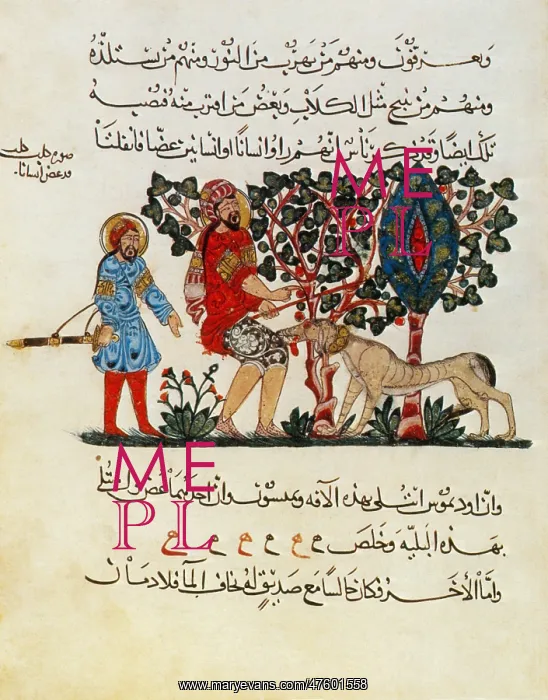 : Page from Dioscorides's De Materia Medica : Page from Dioscorides's De Materia Medica