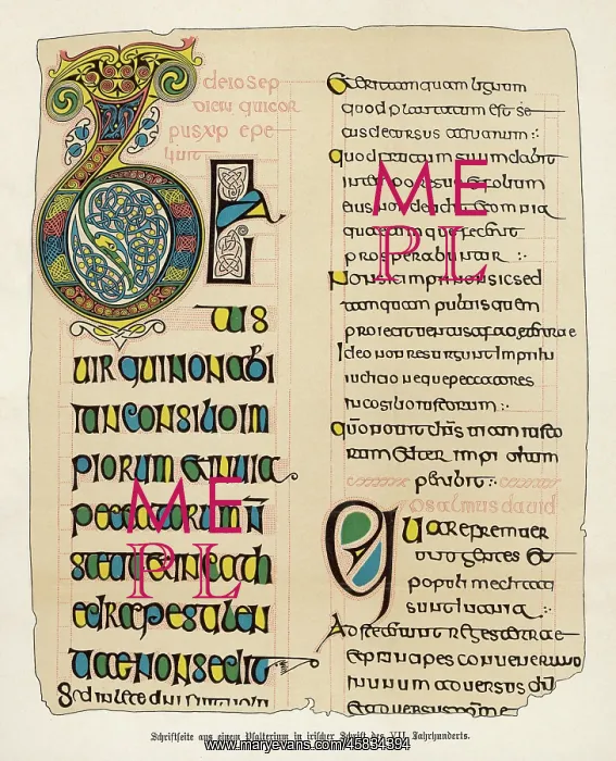: Page from an Irish psalter, Beatus Vir : Page from an Irish psalter, Beatus Vir