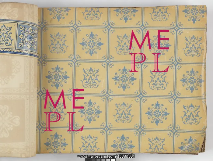 : Page from New Artistic Wall Papers : Page from New Artistic Wall Papers