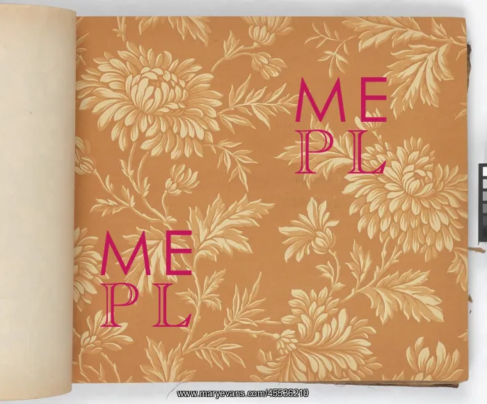: Page from New Artistic Wall Papers : Page from New Artistic Wall Papers