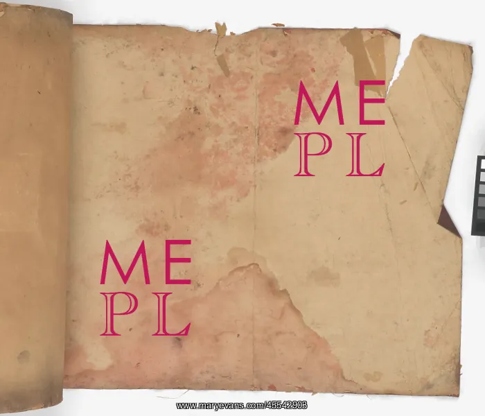 : Page from New Artistic Wall Papers : Page from New Artistic Wall Papers