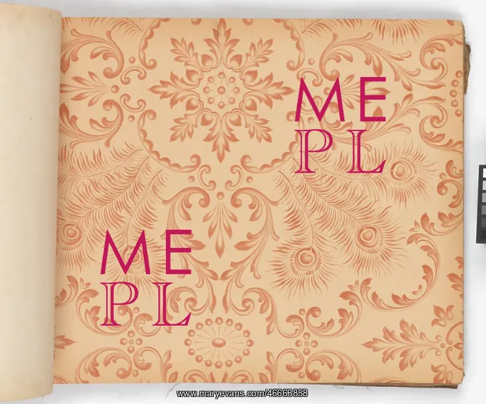 : Page from New Artistic Wall Papers : Page from New Artistic Wall Papers
