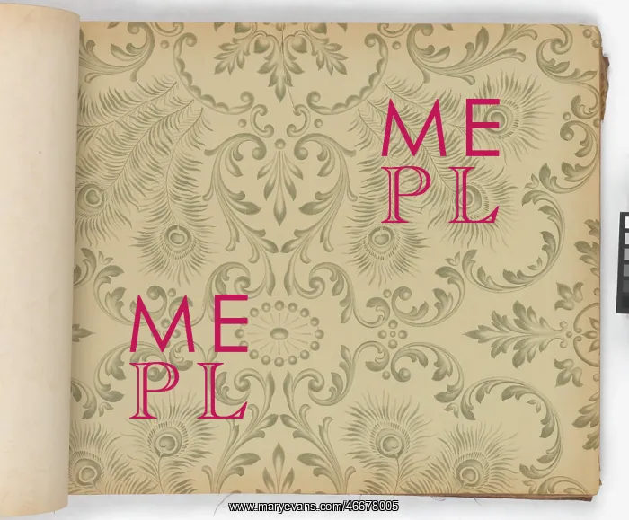 : Page from New Artistic Wall Papers : Page from New Artistic Wall Papers