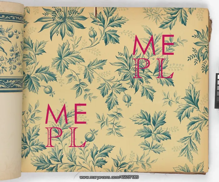 : Page from New Artistic Wall Papers : Page from New Artistic Wall Papers