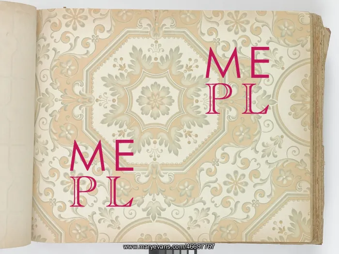 : Page from New Artistic Wall Papers : Page from New Artistic Wall Papers