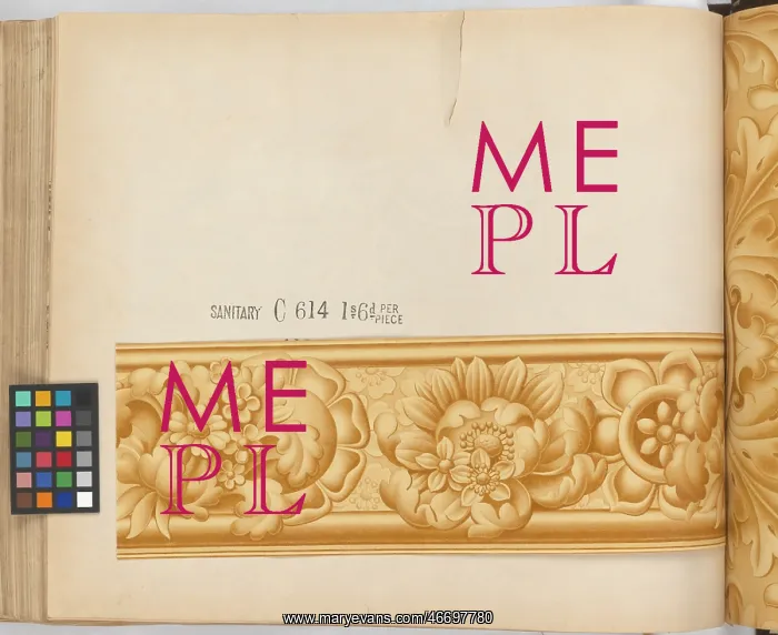 : Page from New Artistic Wall Papers : Page from New Artistic Wall Papers