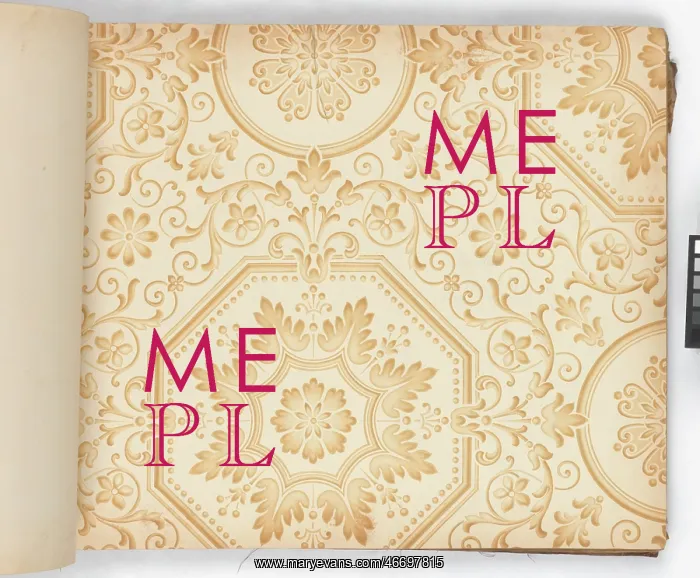 : Page from New Artistic Wall Papers : Page from New Artistic Wall Papers