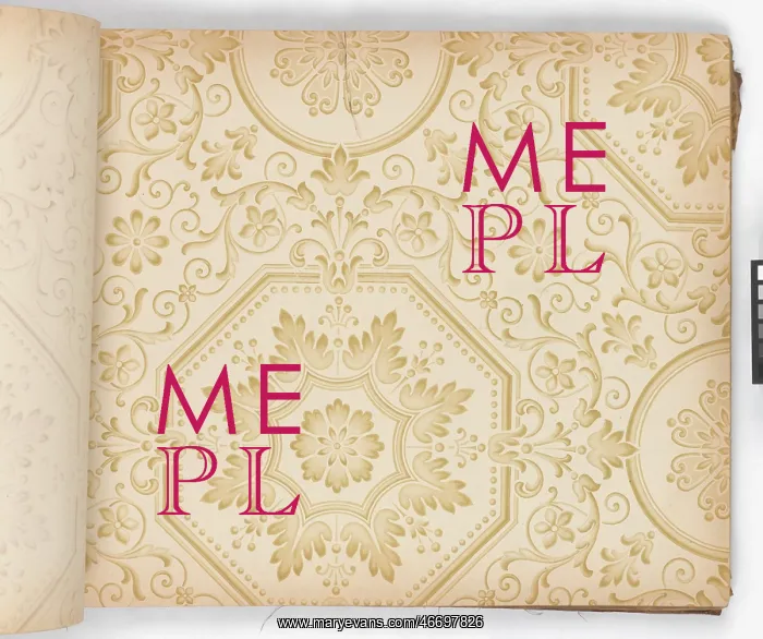 : Page from New Artistic Wall Papers : Page from New Artistic Wall Papers