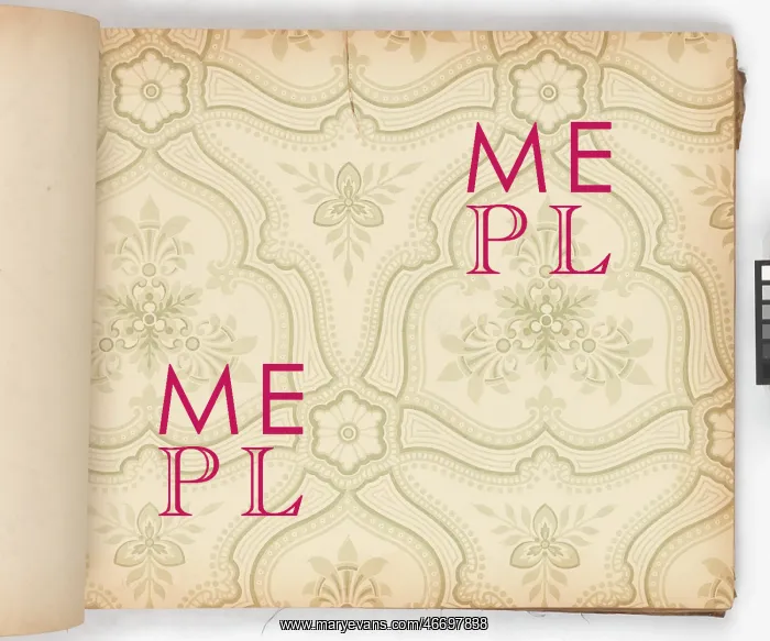 : Page from New Artistic Wall Papers : Page from New Artistic Wall Papers
