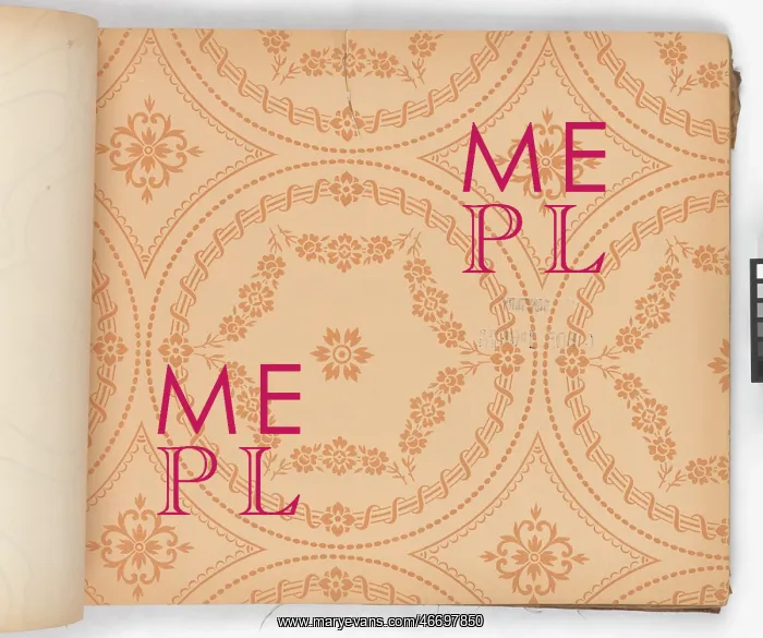: Page from New Artistic Wall Papers : Page from New Artistic Wall Papers
