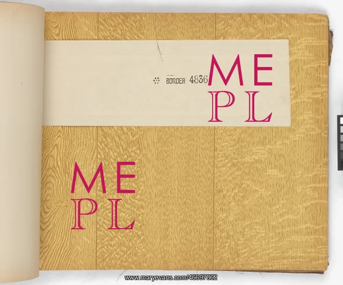 : Page from New Artistic Wall Papers : Page from New Artistic Wall Papers