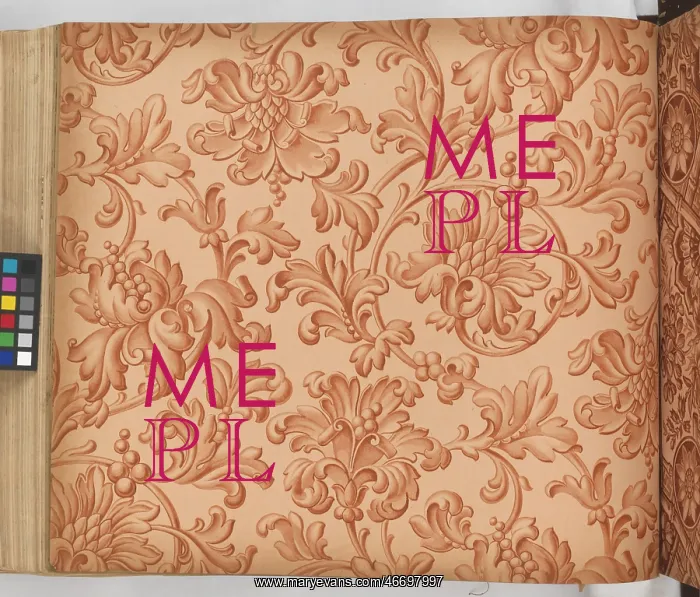 : Page from New Artistic Wall Papers : Page from New Artistic Wall Papers