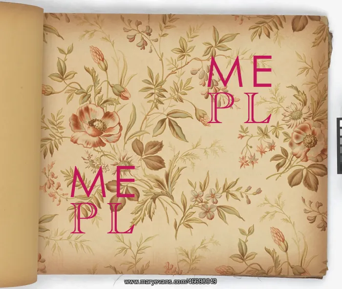 : Page from New Artistic Wall Papers : Page from New Artistic Wall Papers