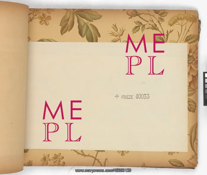 : Page from New Artistic Wall Papers : Page from New Artistic Wall Papers