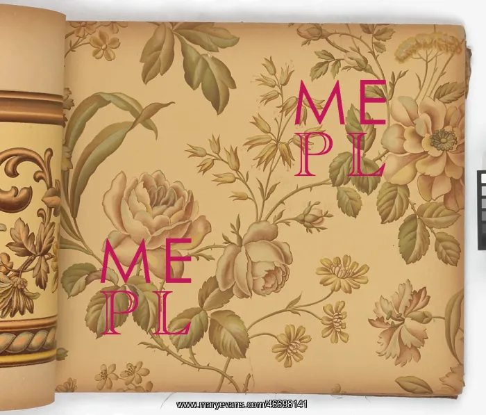: Page from New Artistic Wall Papers : Page from New Artistic Wall Papers