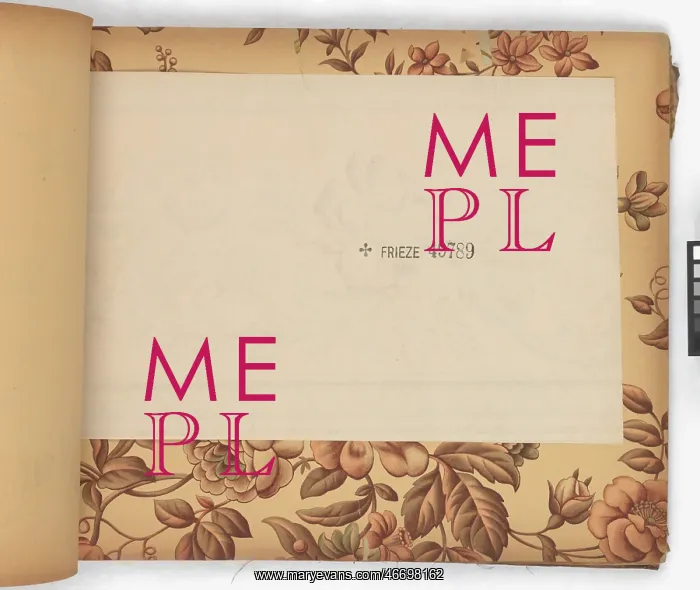 : Page from New Artistic Wall Papers : Page from New Artistic Wall Papers