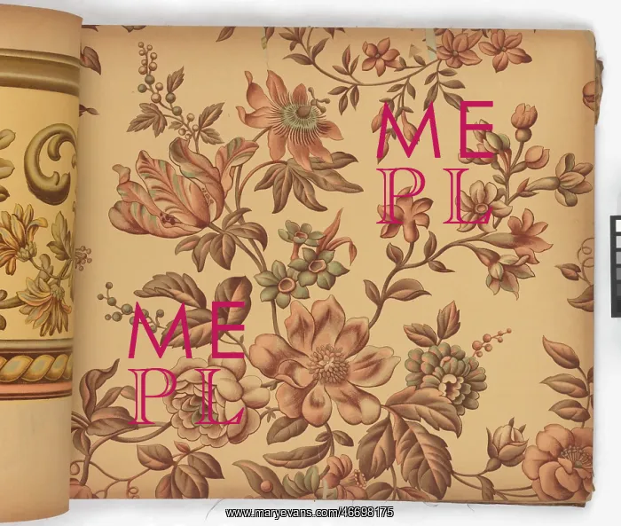 : Page from New Artistic Wall Papers : Page from New Artistic Wall Papers