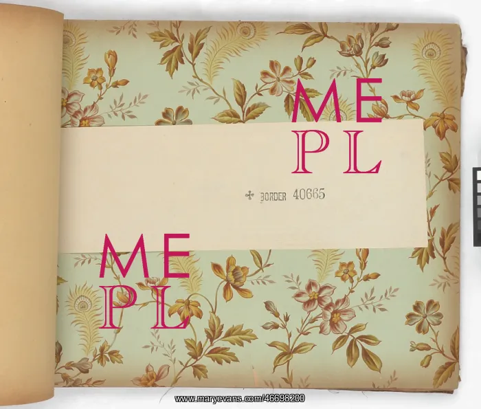 : Page from New Artistic Wall Papers : Page from New Artistic Wall Papers