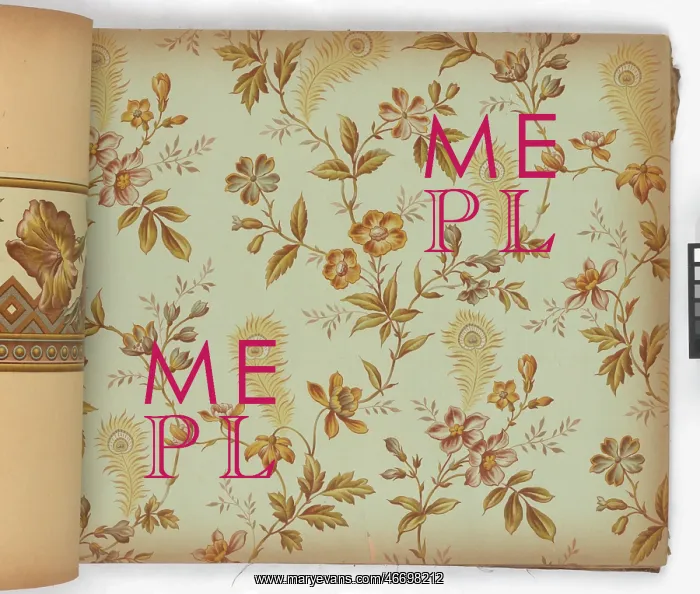  : Page from New Artistic Wall Papers