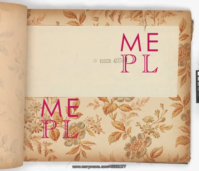 : Page from New Artistic Wall Papers : Page from New Artistic Wall Papers