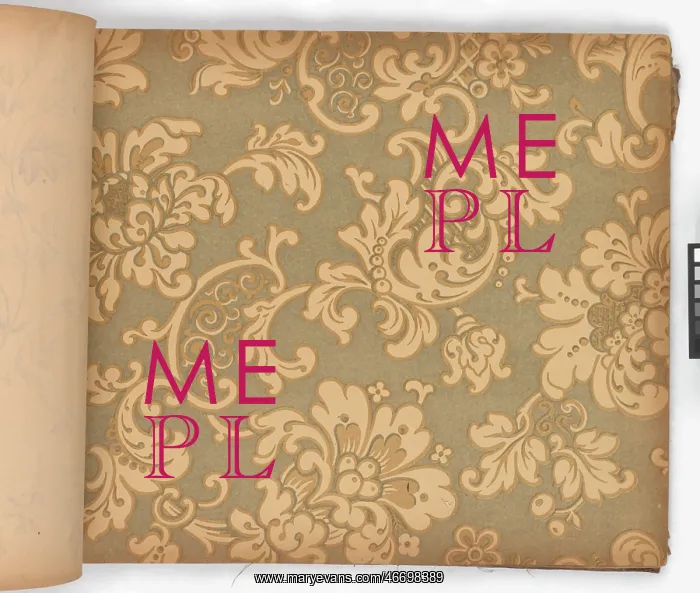 : Page from New Artistic Wall Papers : Page from New Artistic Wall Papers
