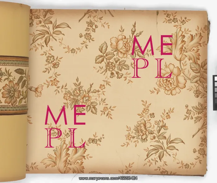 : Page from New Artistic Wall Papers : Page from New Artistic Wall Papers